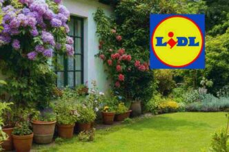 offerta lidl per il giardino